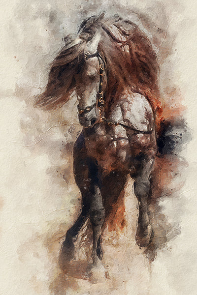 Majestic Horse - Jeedar Art Gallery