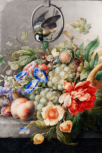 Bird and Grapes Still Life