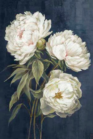 Ethereal Peonies