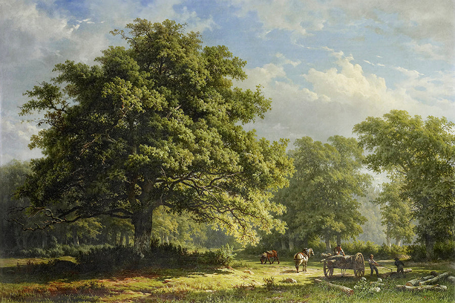 Oak Tree in Pastoral Landscape